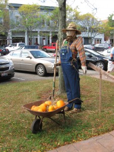 Scarecrows 2017 001